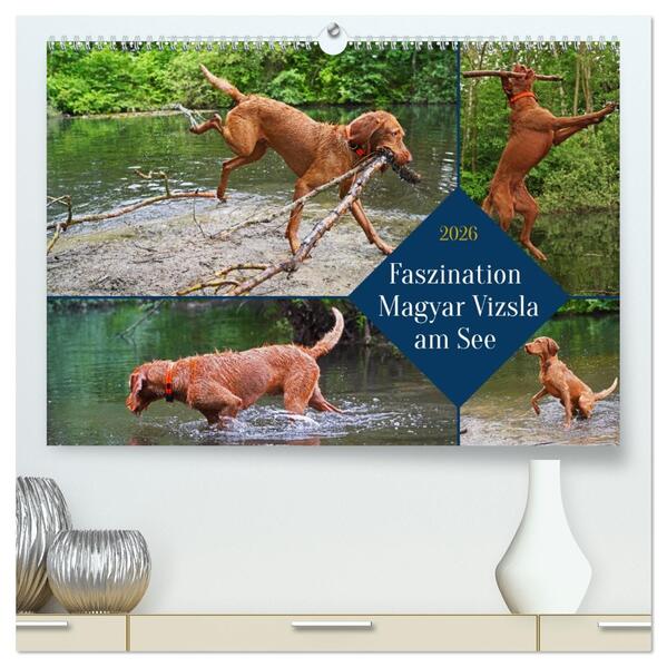 Faszination Magyar Vizsla am See (hochwertiger Premium Wandkalender 2026 DIN A2 quer) Kunstdruck in Hochglanz