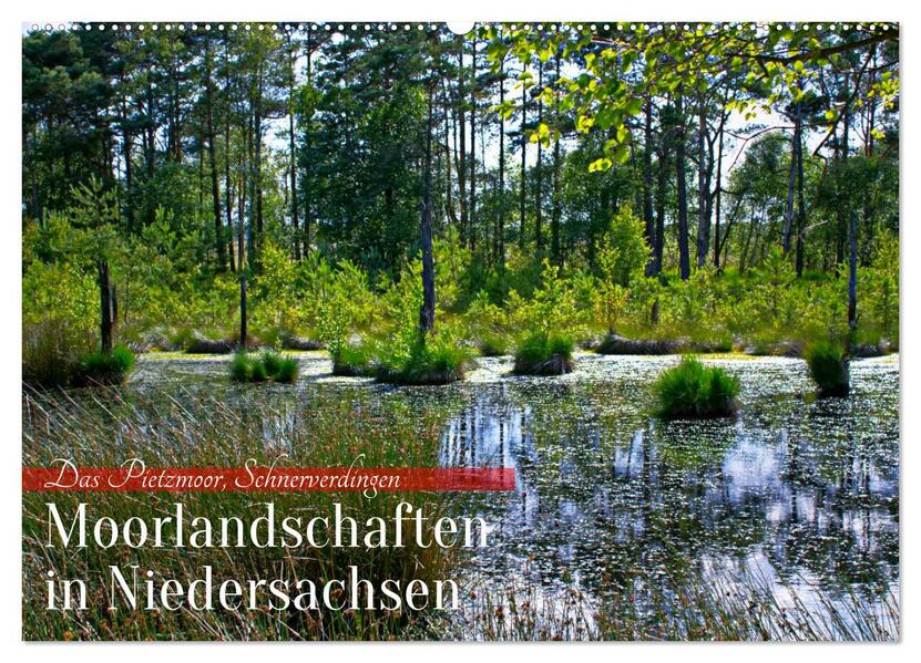Niedersachsens Moorlandschaften - Das Pietzmoor Schneverdingen (Wandkalender 2026 DIN A2 quer) CALVENDO Monatskalender