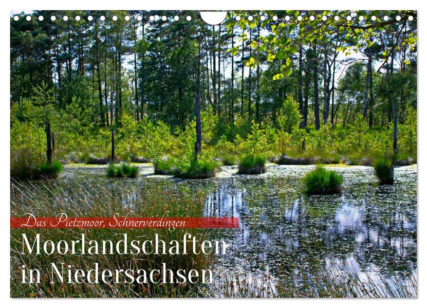 Niedersachsens Moorlandschaften - Das Pietzmoor Schneverdingen (Wandkalender 2026 DIN A4 quer) CALVENDO Monatskalender