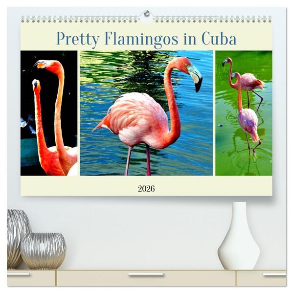 Pretty Flamingos in Cuba (hochwertiger Premium Wandkalender 2026 DIN A2 quer) Kunstdruck in Hochglanz