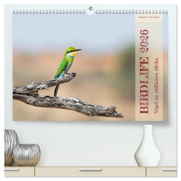 Birdlife - Vögel im südlichen Afrika (hochwertiger Premium Wandkalender 2026 DIN A2 quer) Kunstdruck in Hochglanz