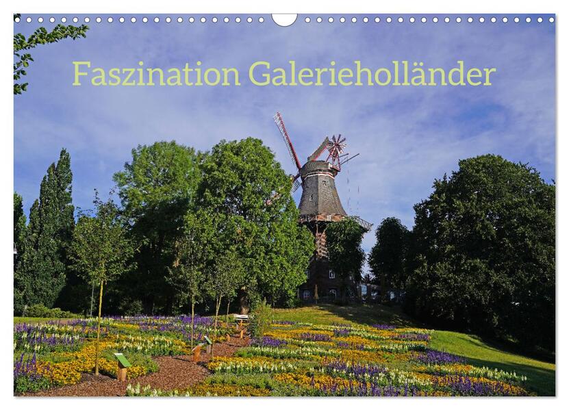 Faszination Galerieholländer (Wandkalender 2026 DIN A3 quer) CALVENDO Monatskalender