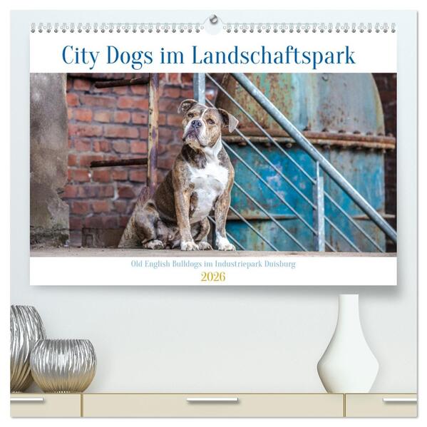 City Dogs im Landschaftspark (hochwertiger Premium Wandkalender 2026 DIN A2 quer) Kunstdruck in Hochglanz