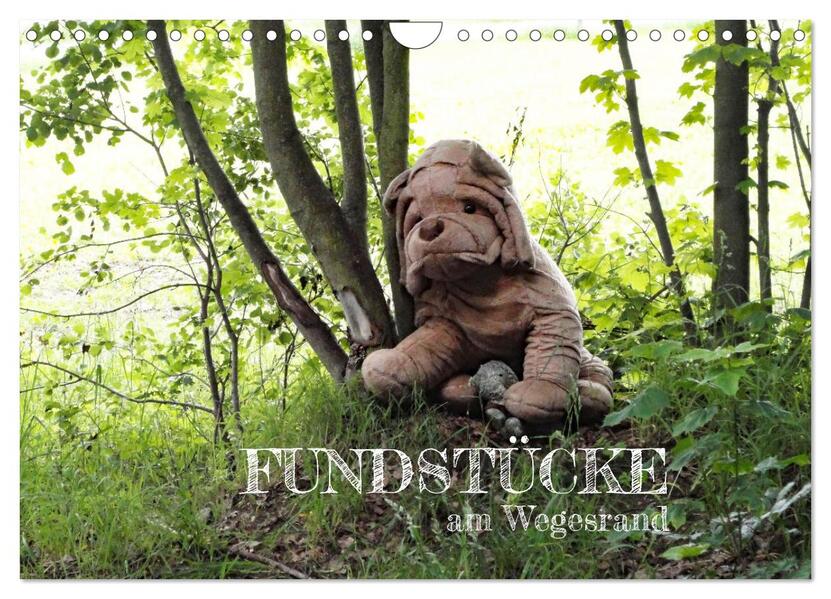 FUNDSTÜCKE am Wegesrand (Wandkalender 2026 DIN A4 quer) CALVENDO Monatskalender
