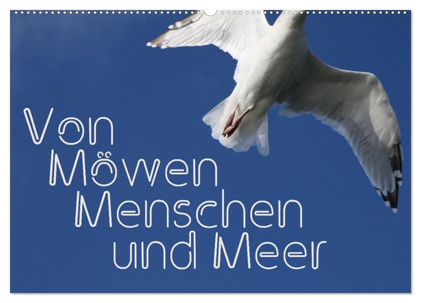 Von Möwen Menschen und Meer (Wandkalender 2026 DIN A2 quer) CALVENDO Monatskalender