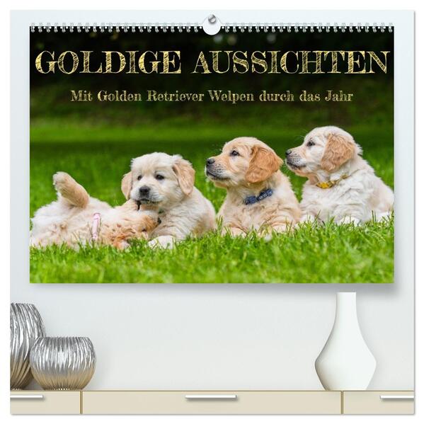 Goldige Aussichten - Mit Golden Retriever Welpen durch das Jahr (hochwertiger Premium Wandkalender 2026 DIN A2 quer) Kunstdruck in Hochglanz