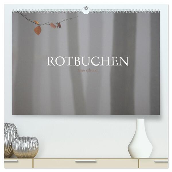 Rotbuchen (hochwertiger Premium Wandkalender 2026 DIN A2 quer) Kunstdruck in Hochglanz