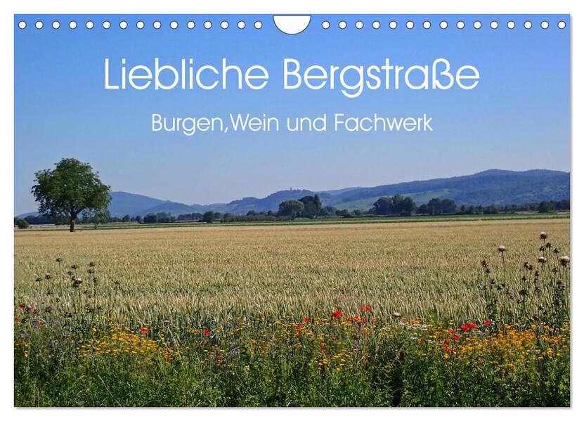 Liebliche Bergstraße - Burgen Wein und Fachwerk (Wandkalender 2026 DIN A4 quer) CALVENDO Monatskalender