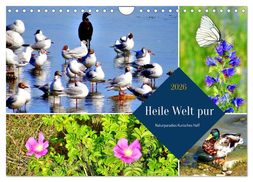 Heile Welt pur - Naturparadies Kurisches Haff (Wandkalender 2026 DIN A4 quer) CALVENDO Monatskalender