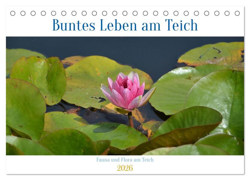 Buntes Leben am Teich (Tischkalender 2026 DIN A5 quer) CALVENDO Monatskalender