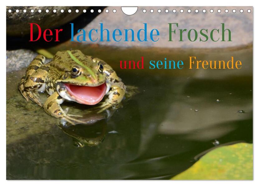 Der lachende Frosch und seine Freunde (Wandkalender 2026 DIN A4 quer) CALVENDO Monatskalender