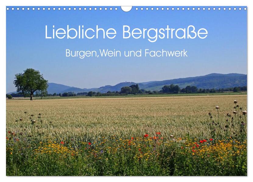 Liebliche Bergstraße - Burgen Wein und Fachwerk (Wandkalender 2026 DIN A3 quer) CALVENDO Monatskalender
