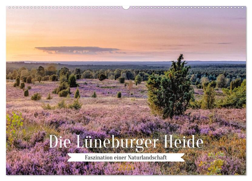 Die Lüneburger Heide - Faszination einer Naturlandschaft (Wandkalender 2026 DIN A2 quer) CALVENDO Monatskalender