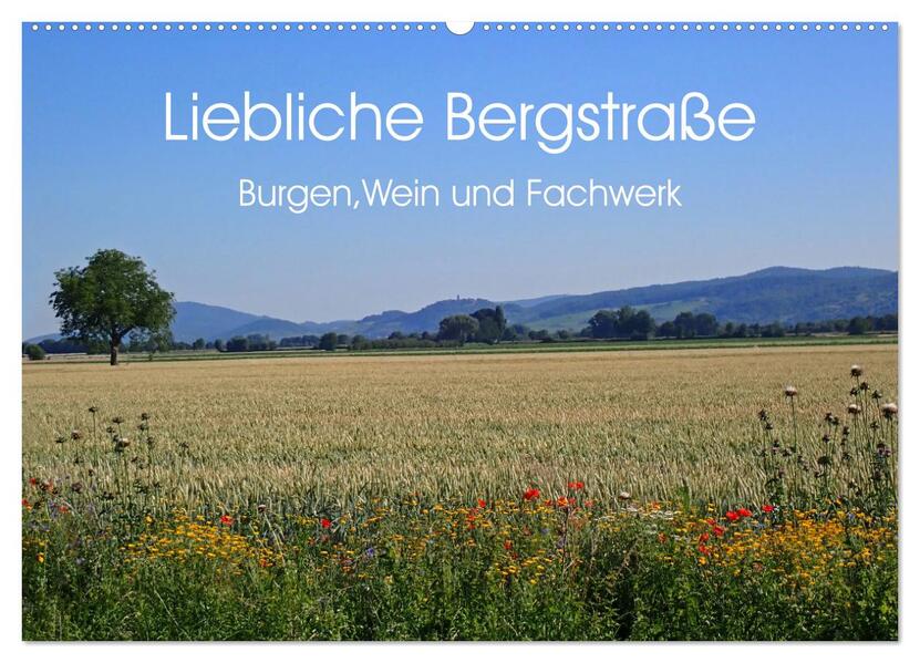 Liebliche Bergstraße - Burgen Wein und Fachwerk (Wandkalender 2026 DIN A2 quer) CALVENDO Monatskalender