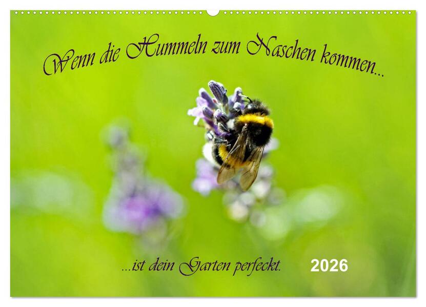 Wenn die Hummeln zum naschen kommen ist dein Garten perfekt (Wandkalender 2026 DIN A2 quer) CALVENDO Monatskalender