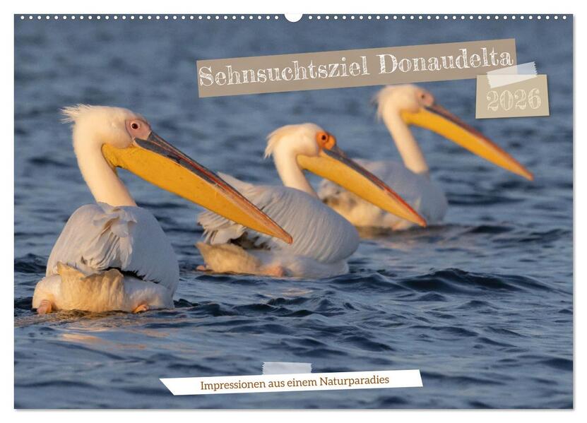 Sehnsuchtsziel Donaudelta (Wandkalender 2026 DIN A2 quer) CALVENDO Monatskalender