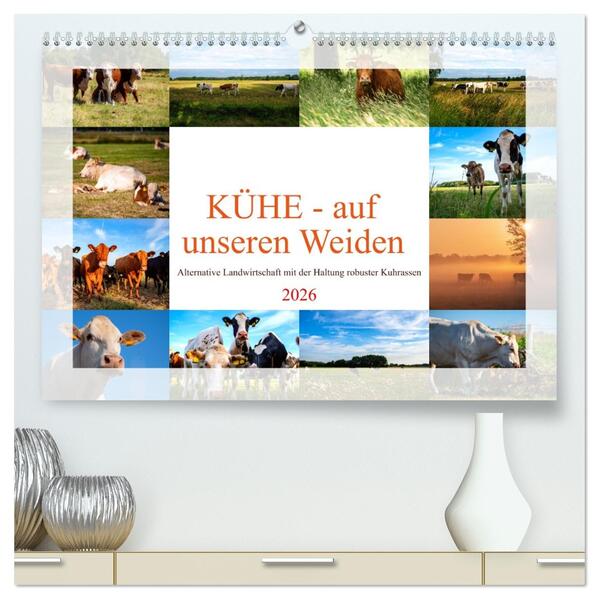 Kühe - auf unseren Weiden (hochwertiger Premium Wandkalender 2026 DIN A2 quer) Kunstdruck in Hochglanz