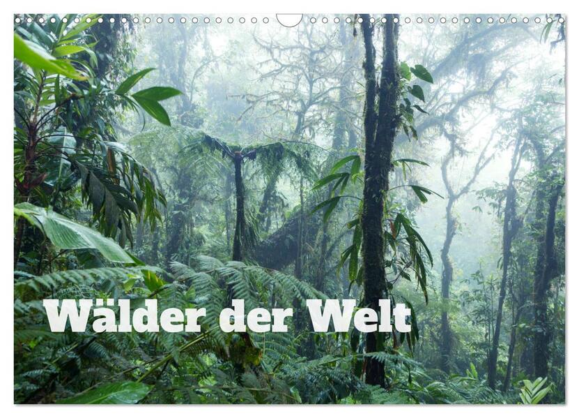 Wälder der Welt (Wandkalender 2026 DIN A3 quer) CALVENDO Monatskalender