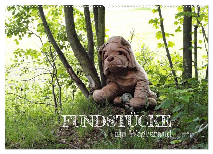 FUNDSTÜCKE am Wegesrand (Wandkalender 2026 DIN A2 quer) CALVENDO Monatskalender