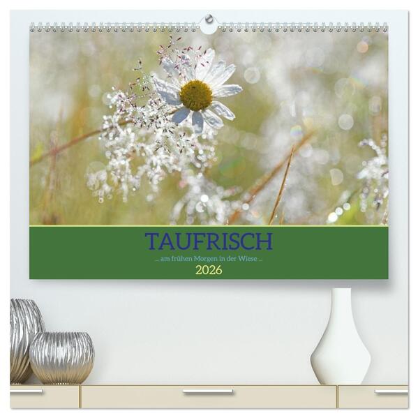 Taufrisch ... am frühen Morgen in der Wiese (hochwertiger Premium Wandkalender 2026 DIN A2 quer) Kunstdruck in Hochglanz