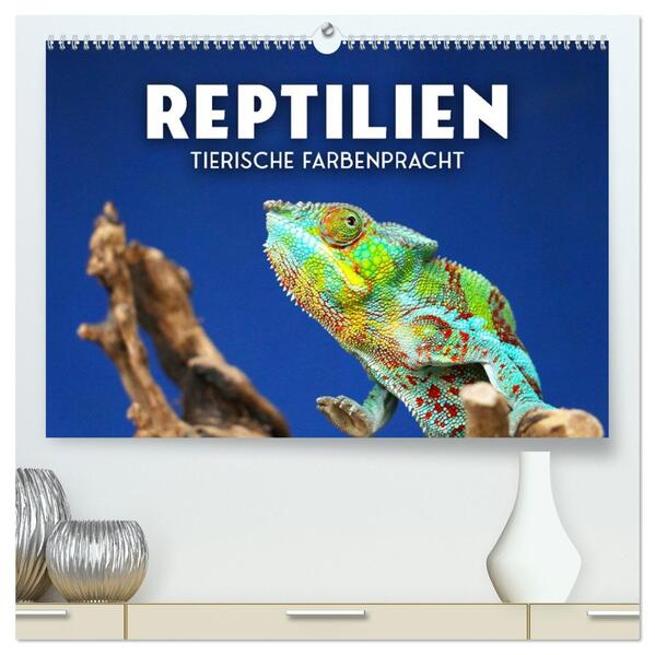 Reptilien - Tierische Farbenpracht (hochwertiger Premium Wandkalender 2026 DIN A2 quer) Kunstdruck in Hochglanz