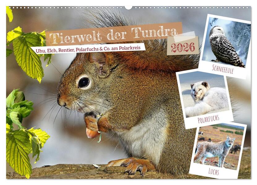 Tierwelt der Tundra (Wandkalender 2026 DIN A2 quer) CALVENDO Monatskalender