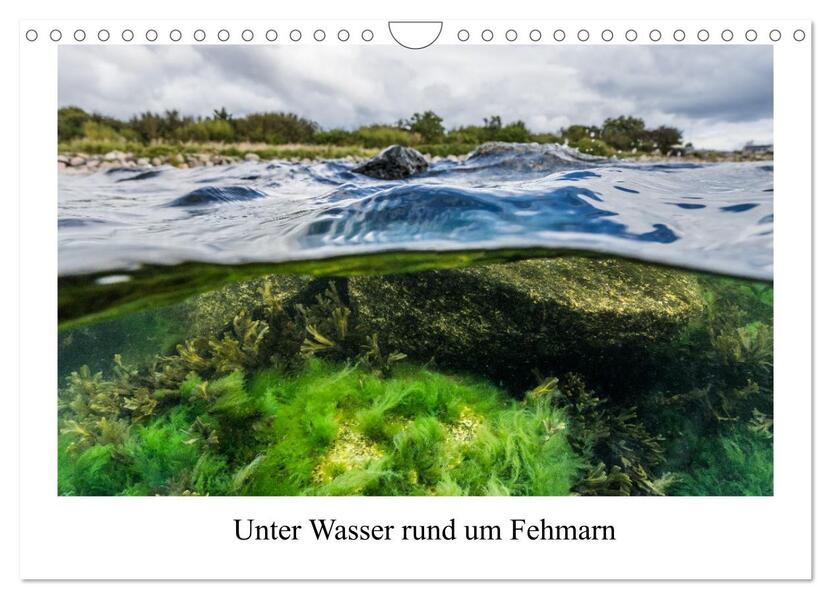Unter Wasser rund um Fehmarn (Wandkalender 2026 DIN A4 quer) CALVENDO Monatskalender