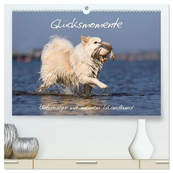 Glücksmomente - Unterwegs mit meinem Islandhund (hochwertiger Premium Wandkalender 2026 DIN A2 quer) Kunstdruck in Hochglanz