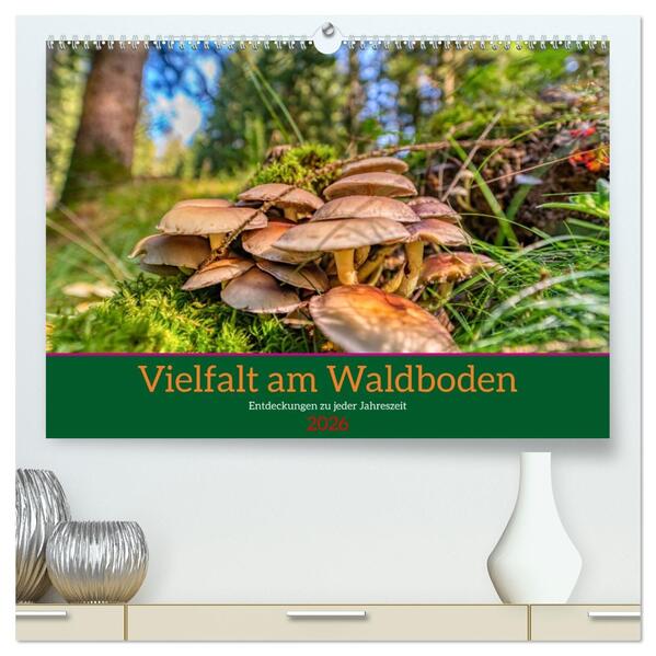Vielfalt am Waldboden (hochwertiger Premium Wandkalender 2026 DIN A2 quer) Kunstdruck in Hochglanz
