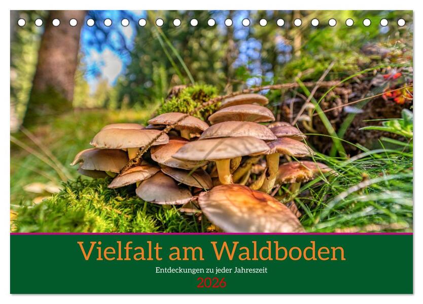 Vielfalt am Waldboden (Tischkalender 2026 DIN A5 quer) CALVENDO Monatskalender