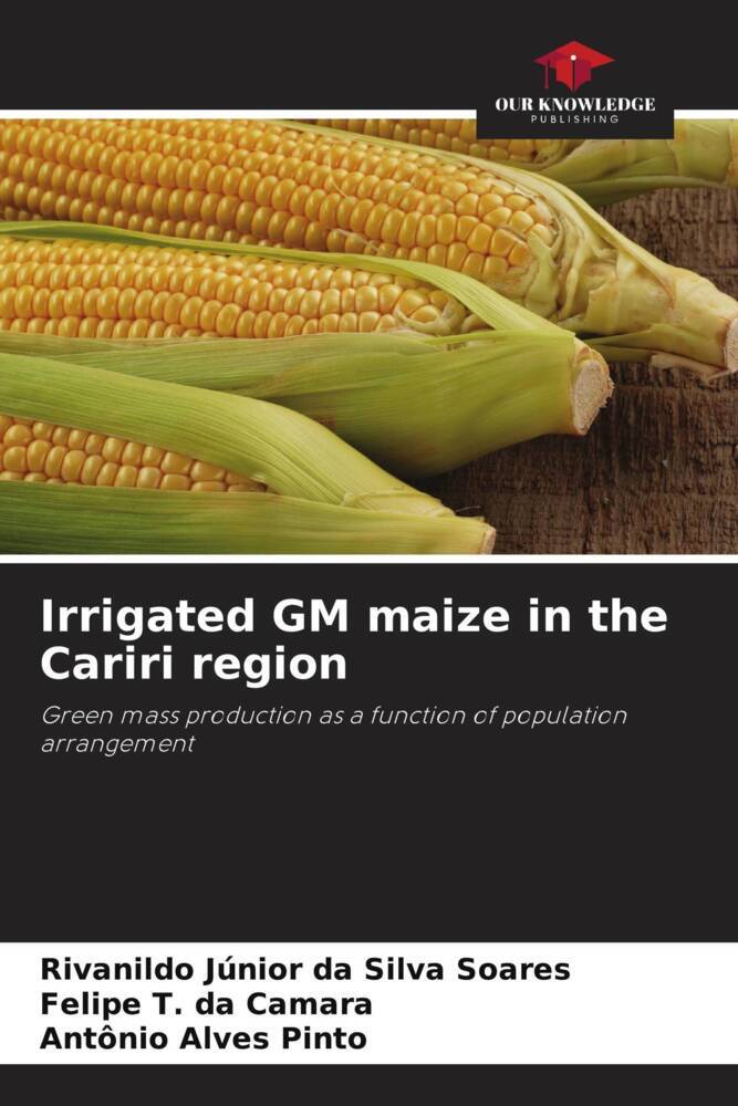Irrigated GM maize in the Cariri region