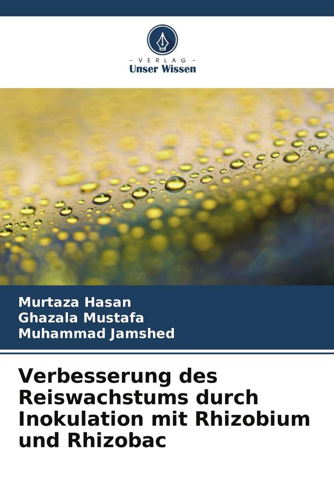 Verbesserung des Reiswachstums durch Inokulation mit Rhizobium und Rhizobac