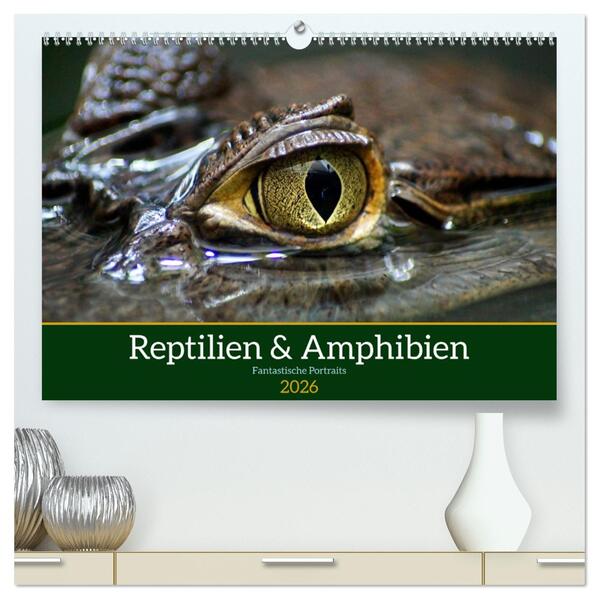 Reptilien & Amphibien Portraits (hochwertiger Premium Wandkalender 2026 DIN A2 quer) Kunstdruck in Hochglanz