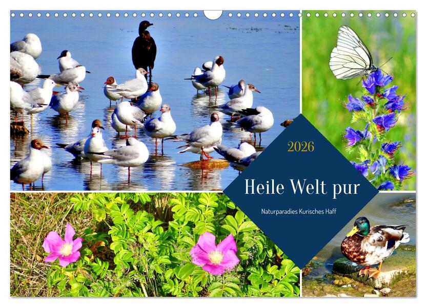 Heile Welt pur - Naturparadies Kurisches Haff (Wandkalender 2026 DIN A3 quer) CALVENDO Monatskalender