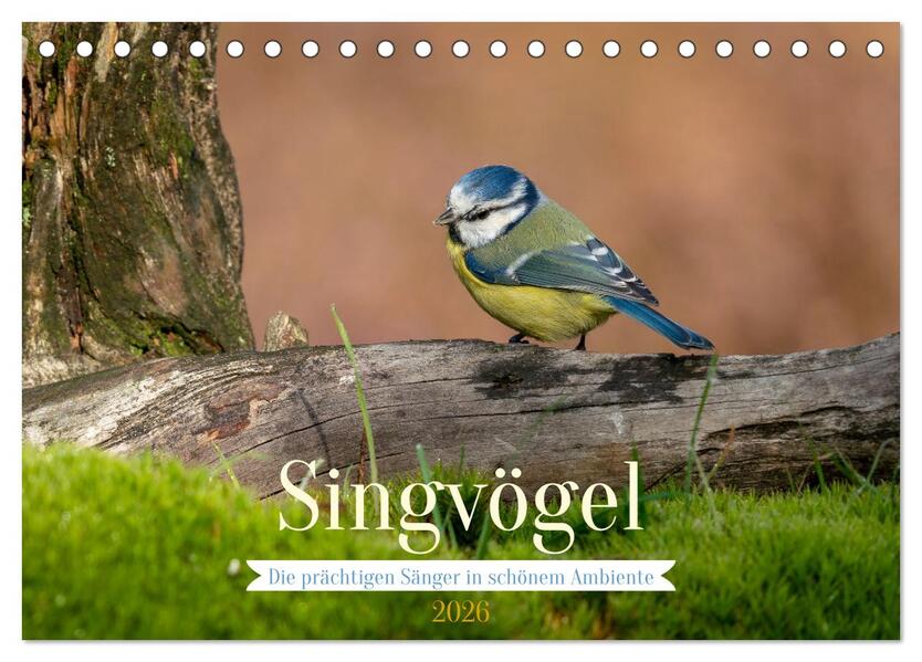SINGVÖGEL - Die prächtigen Sänger in schönem Ambiente (Tischkalender 2026 DIN A5 quer) CALVENDO Monatskalender