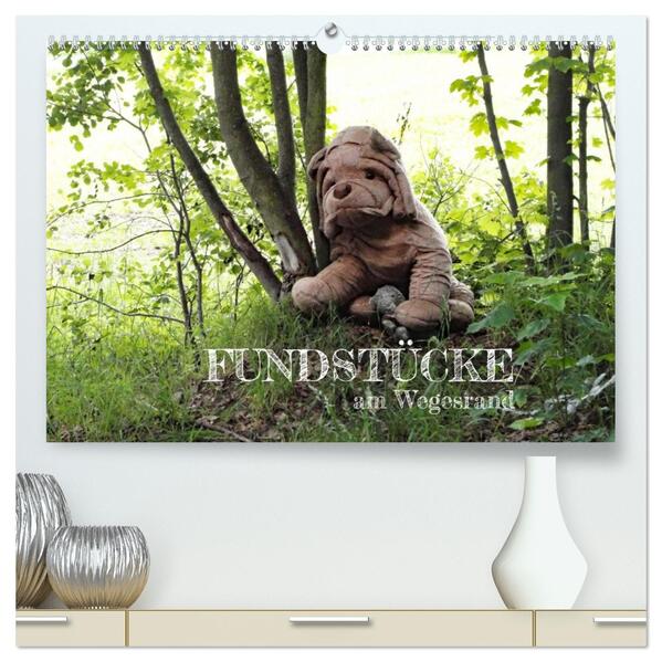 FUNDSTÜCKE am Wegesrand (hochwertiger Premium Wandkalender 2026 DIN A2 quer) Kunstdruck in Hochglanz