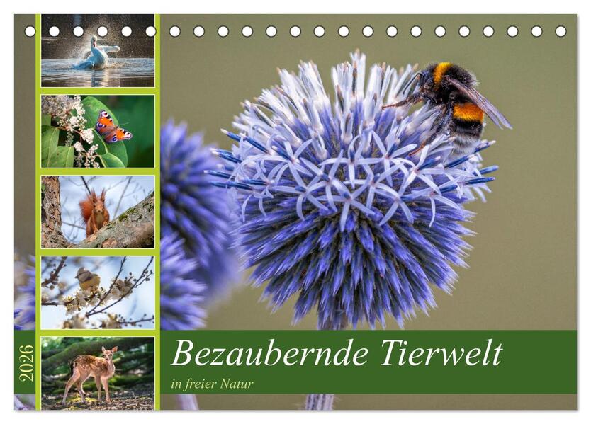 Bezaubernde Tierwelt in freier Natur (Tischkalender 2026 DIN A5 quer) CALVENDO Monatskalender