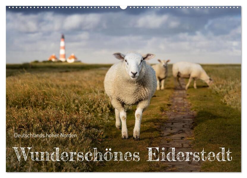 Wunderschönes Eiderstedt (Wandkalender 2026 DIN A2 quer) CALVENDO Monatskalender