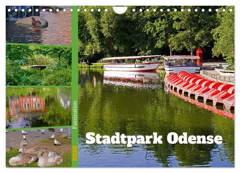 Faszination Stadtpark Odense (Wandkalender 2026 DIN A4 quer) CALVENDO Monatskalender
