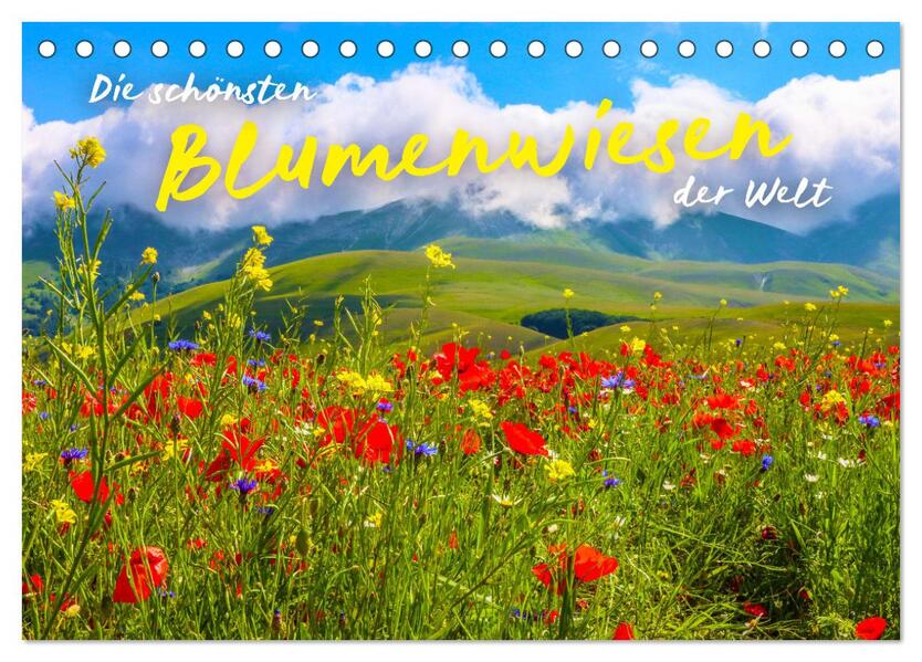 Die schönsten Blumenwiesen der Welt (Tischkalender 2026 DIN A5 quer) CALVENDO Monatskalender