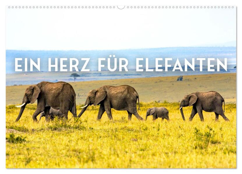 Ein Herz für Elefanten (Wandkalender 2026 DIN A2 quer) CALVENDO Monatskalender