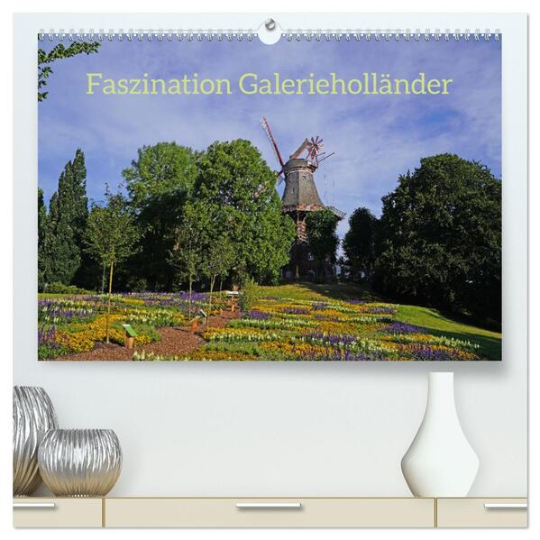 Faszination Galerieholländer (hochwertiger Premium Wandkalender 2026 DIN A2 quer) Kunstdruck in Hochglanz