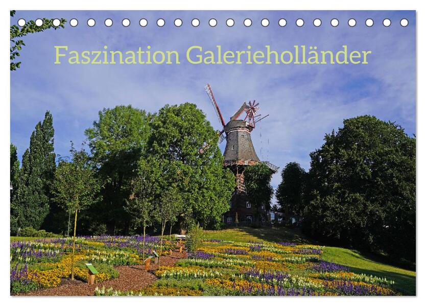 Faszination Galerieholländer (Tischkalender 2026 DIN A5 quer) CALVENDO Monatskalender