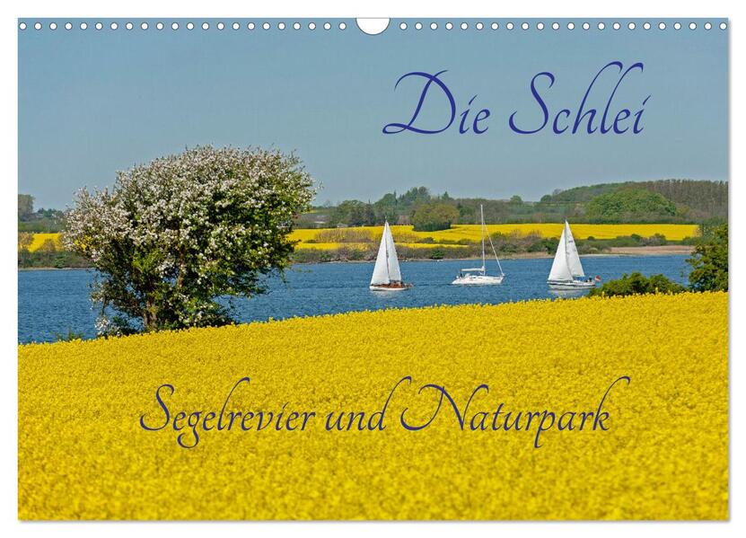Die Schlei - Segelrevier und Naturpark (Wandkalender 2026 DIN A3 quer) CALVENDO Monatskalender
