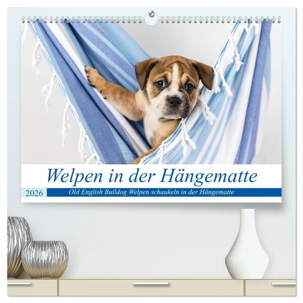 Welpen in der Hängematte (hochwertiger Premium Wandkalender 2026 DIN A2 quer) Kunstdruck in Hochglanz