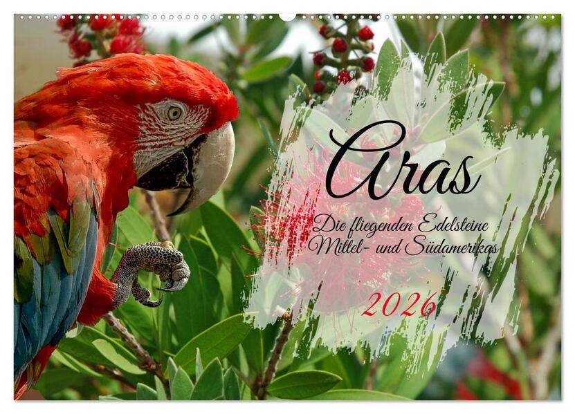 Aras - die fliegenden Edelsteine Mittel- und Südamerikas (Wandkalender 2026 DIN A2 quer) CALVENDO Monatskalender