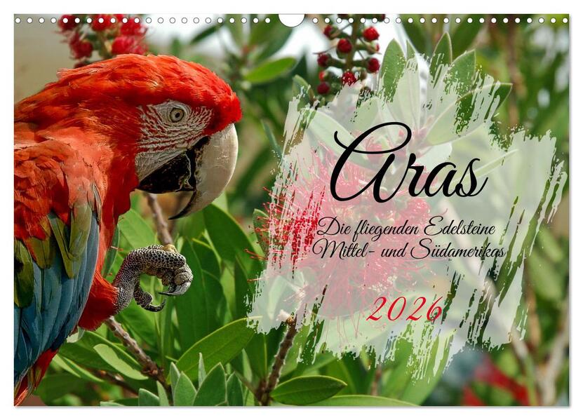Aras - die fliegenden Edelsteine Mittel- und Südamerikas (Wandkalender 2026 DIN A3 quer) CALVENDO Monatskalender