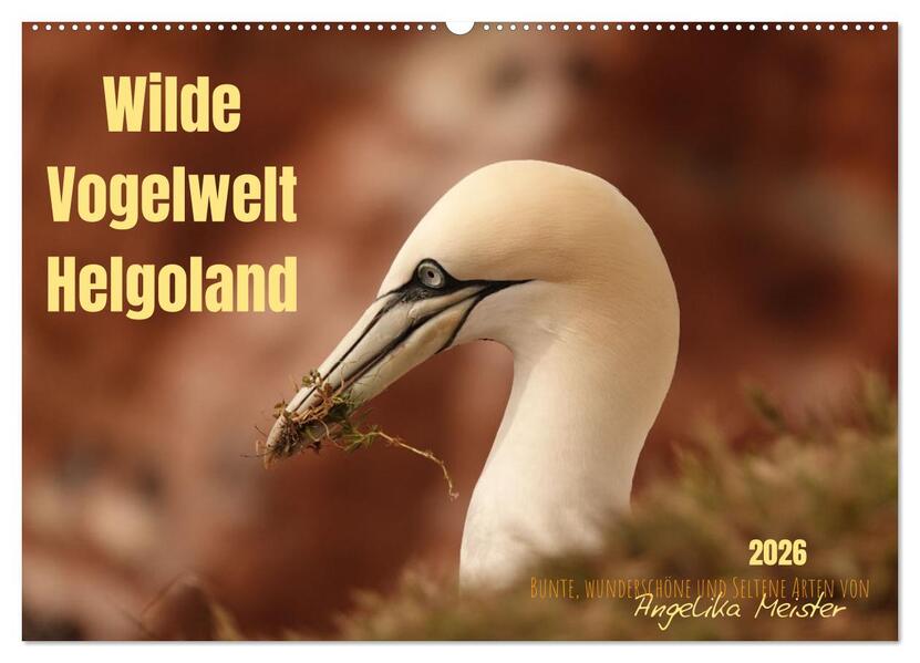 Wilde Vogelwelt Helgoland (Wandkalender 2026 DIN A2 quer) CALVENDO Monatskalender