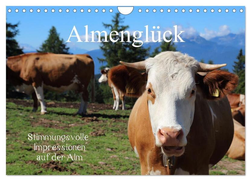 Almenglück (Wandkalender 2026 DIN A4 quer) CALVENDO Monatskalender