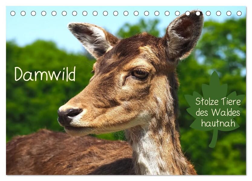 Damwild - stolze Tiere des Waldes hautnah (Tischkalender 2026 DIN A5 quer) CALVENDO Monatskalender